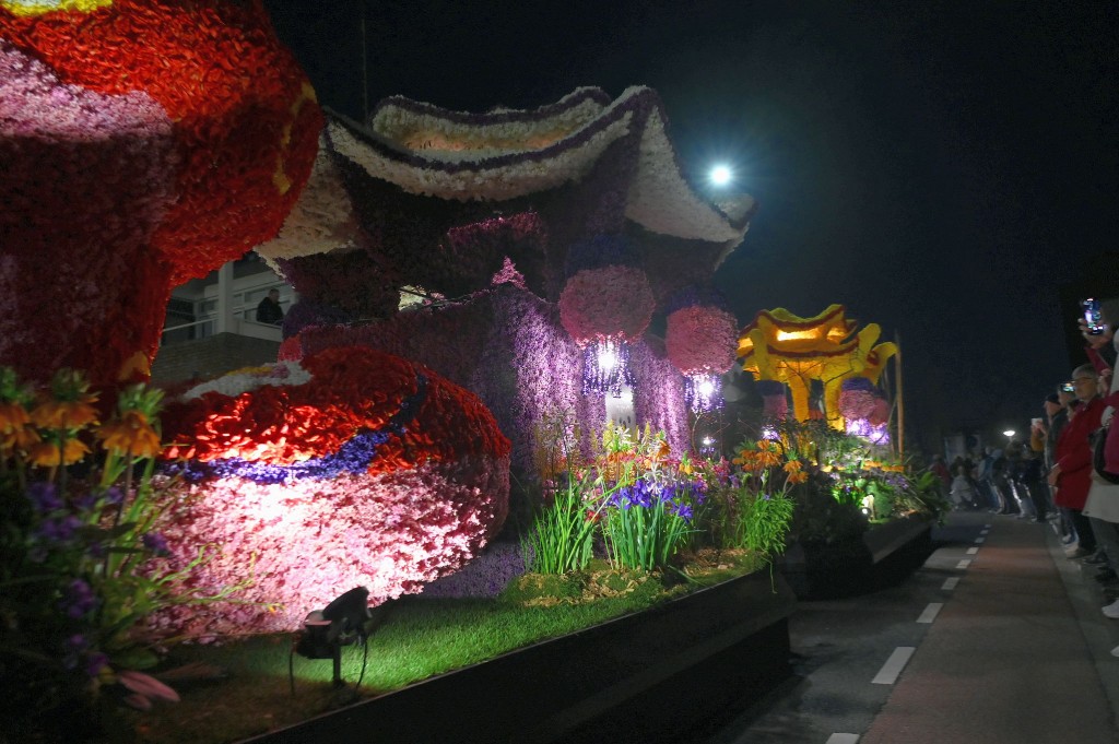 ../Images/Verlicht bloemencorso 2025 165.jpg